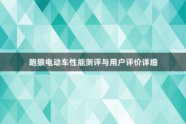 跑狼电动车性能测评与用户评价详细